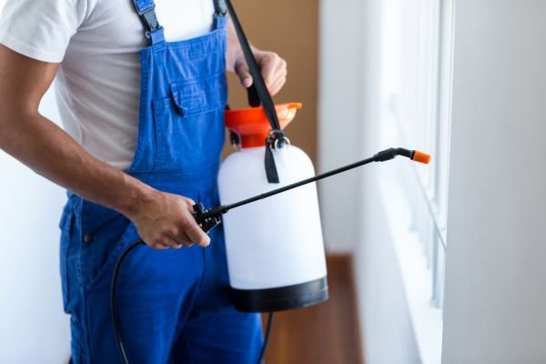 Pest Control Services